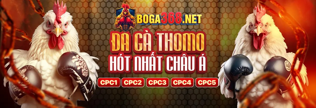 Tải ứng dụng bet3363 đăng nhập để trải nghiệm cá cược di động